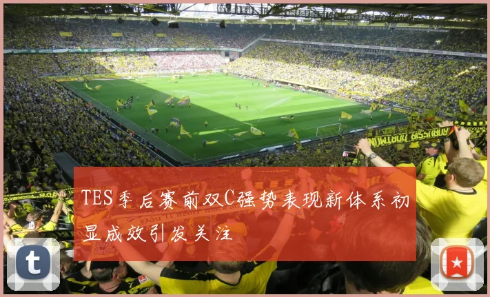 TES季后赛前双C强势表现新体系初显成效引发关注
